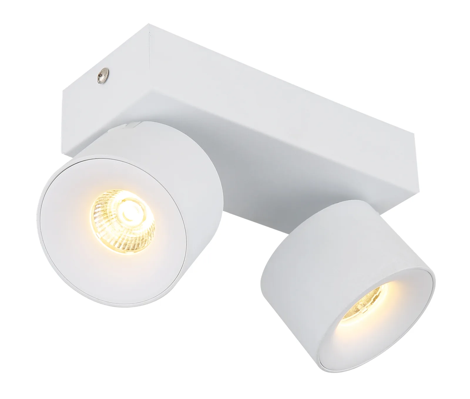RAE 56961-2W