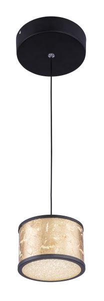 POTTI