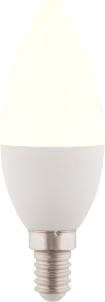 LED LEUCHTMITTEL GLAS OPAL, 1XE14 LED