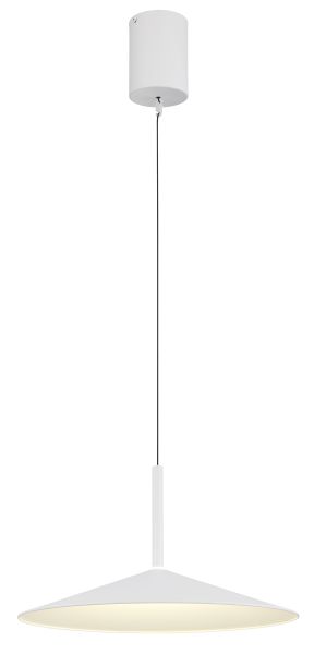 LAMPONE