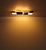 Anteprima: CAROLINE Anteprima: CAROLINE